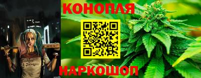 прущие грибы Кимры