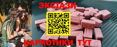 дмт Кингисепп