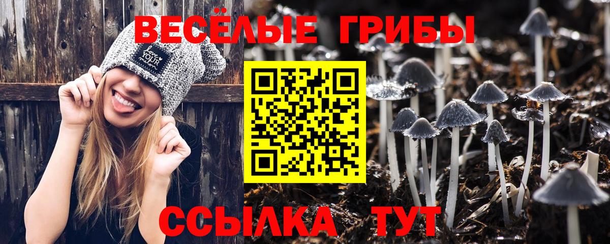 Галлюциногенные грибы Magic Shrooms  Вход с VPN  Котлас 