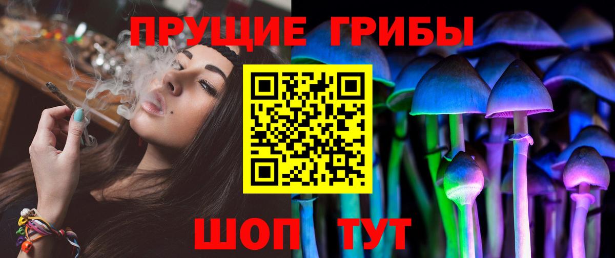 Галлюциногенные грибы мицелий Котлас